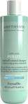 FarmaVita Sampon profesional pentru controlul matretii, cu menthol si vitamina E, Farmavita Amethyste Advance Purify, 250 ml