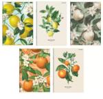 Herlitz Gyümölcs mintás Soft Touch vonalas füzet, A5 - többféle (400182443) - jateknet