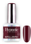 BrillBird TPO FREE Hypnotic HEMA Free gel&lac 4ml 66