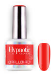 BrillBird TPO FREE Hypnotic HEMA Free Gel&Lac 8ml 108