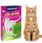 Vitakraft Cat-Grass Fű macskáknak 120g (4008239265470)