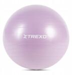 Trexo Gimnasztikai labda Trexo TXO-B4Z008-VT 65 cm lila (TXO-B4Z008-VT)