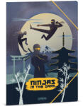 Ars Una Ars Una: Ninjas in the dark gumis mappa A/4 (50214570)