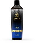 Giovani Parfum de rufe PASSION BLUE Volum: 500 ml