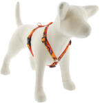 Lupine Pet Roman hám (Lucky Dragon 1, 9 cm széles 36-60 cm) (DOG16703)
