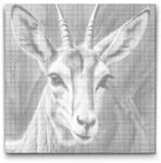  PontPöttyöző - Gazella türkiz és narancs árnyalatokban Méret: 50x50cm, Keretezés: Kerek kartonlap, Szín: Piros