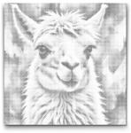  PontPöttyöző - Láma tompa zöld árnyalatokban Méret: 50x50cm, Keretezés: Kerek kartonlap, Szín: Fekete