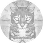  PontPöttyöző - Macskanézés 1 Méret: 50x50cm, Keretezés: Kerek kartonlap, Szín: Piros