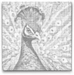  PontPöttyöző - Páva türkiz és narancs árnyalatokban Méret: 50x50cm, Keretezés: Kerek kartonlap, Szín: Piros