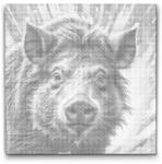  PontPöttyöző - Vaddisznó tompa zöld árnyalatokban Méret: 50x50cm, Keretezés: Kerek kartonlap, Szín: Piros