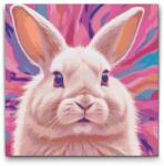  Festés számok szerint - Nyuszi rózsaszín árnyalatokban Méret: 50x50cm, Keretezés: Kerek kartonlap