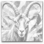  PontPöttyöző - Ibex tompa zöld árnyalatokban Méret: 50x50cm, Keretezés: Kerek kartonlap, Szín: Piros