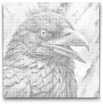  PontPöttyöző - Holló vörös és kék árnyalatokban Méret: 50x50cm, Keretezés: Kerek kartonlap, Szín: Piros