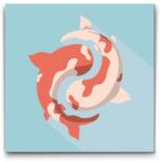  Festés számok szerint - Jin-jang koi ponty Méret: 50x50cm, Keretezés: Kerek kartonlap