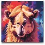  Festés számok szerint - Teve piros és kék árnyalatokban Méret: 50x50cm, Keretezés: Kerek kartonlap