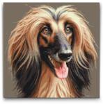  Festés számok szerint - Afgán kopó Méret: 50x50cm, Keretezés: Kerek kartonlap