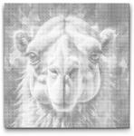  PontPöttyöző - Teve piros és kék árnyalatokban Méret: 50x50cm, Keretezés: Kerek kartonlap, Szín: Piros