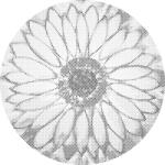  PontPöttyöző - Ragyogó napraforgó Méret: 50x50cm, Keretezés: Kerek kartonlap, Szín: Kék