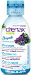 Paladin Pharma Диуретична формула с гроздово семе и синя боровинка - Дренакс - Drenax® Forte, 300 ml, 10 дози (550864 (02681) PP)