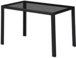 Leziter Clara 120 cm szögletes üveg étkezőasztal fekete (LEAC120-BL) - frankootthon
