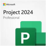 Microsoft Project Professional 2024 (EP2-07001)