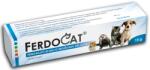 Ferdocat Gel oral A.U.V. 15 g