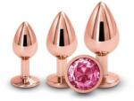 NS Novelties Set 3 Dopuri Anale Cu Bijuterie Rear Assets Trainer Kit Rose Gold, Auriu + Roz