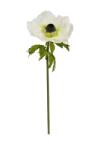  Selyemvirág óriás anemone 150x50cm krém