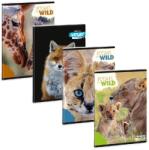 Ars Una A5 extra kapcsos füzet, sima Icons of the Wild (5492) 25 (53154927)