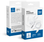 Blue Star travel charger 1A 5W USB A + cable USB A to Lightning TFK-TC-1100B white