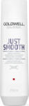 Goldwell Dualsenses Just Smooth șampon pentru păr 250 ml