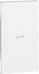 Legrand Tasta iluminabila 2 module simbol cheie Bticino Living Now KW01M2F (KW01M2F)