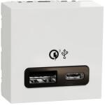 Schneider Electric Incarcator rapid USB dublu A+C 18W 2 module Schneider Noua Unica NU301918 (NU301918)