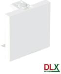DLX Electric Capac fals pentru aparataj 45x45 mm (2 module) - DLX DLX-245-48 (DLX-245-48)