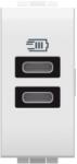 Legrand Incarcator Usb 2xtip C 5V 3A Bticino Living Light N4191CC (N4191CC)