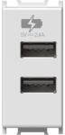 TEM Modul Incarcator 2*USB 5V 2 (TEM-EM67PW-U)