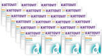 KATTOVIT Kattovit Gastro pulyka 24x85g-os tasak
