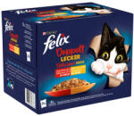FELIX FANTASTIC DUO Házias válogatás aszpikban nedves macskaeledel 24x85g - origopet