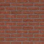 Terca Caramida plina Terca Pagus Dark Red 215x102x65 mm (Terca-12801412)