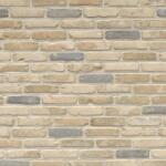 Terca Caramida plina Terca Retro Lautrec 215x102x65 mm (Terca-12710912)