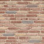 Terca Caramida plina Terca Belle Epoque de Mons 215x102x65 mm (Terca-12710112)