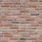 Terca Caramida plina Terca Rustica Old Fieldstone 215x102x65 mm (Terca-12715410)