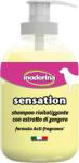 DT Sampon Sensation cu extract de ghimbir 300 ml