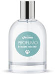 DT Parfum Brezza Marina 100 ml