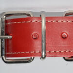 DT Zgarda piele 4, 0 cm 75 cm nr 6 rosu