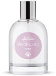 DT Parfum alla rosa 100 ml
