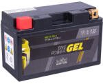intAct GEL 6Ah left+ YT7B-4