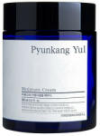 Pyunkang Yul Basic Moisture Cream cremă de zi tipurile piele 100 ml