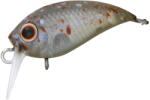 Daiwa Vobler Daiwa Presso Wabcra Jr. 25F SR 2.5cm 1.5g Splash Olive Pearl (F3.07414565)