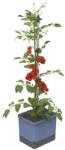 Gusta Garden TOM TOMATO Standard önitató virágcserép, kék (GG-104610)